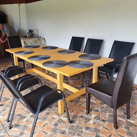 Guest house Casa Izvorul Rece