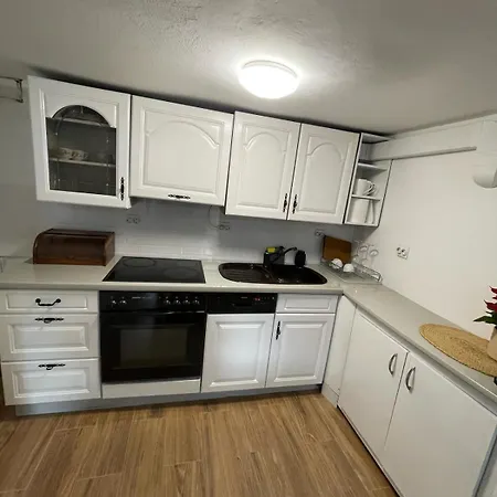 Casa Izvorul Rece Guest house
